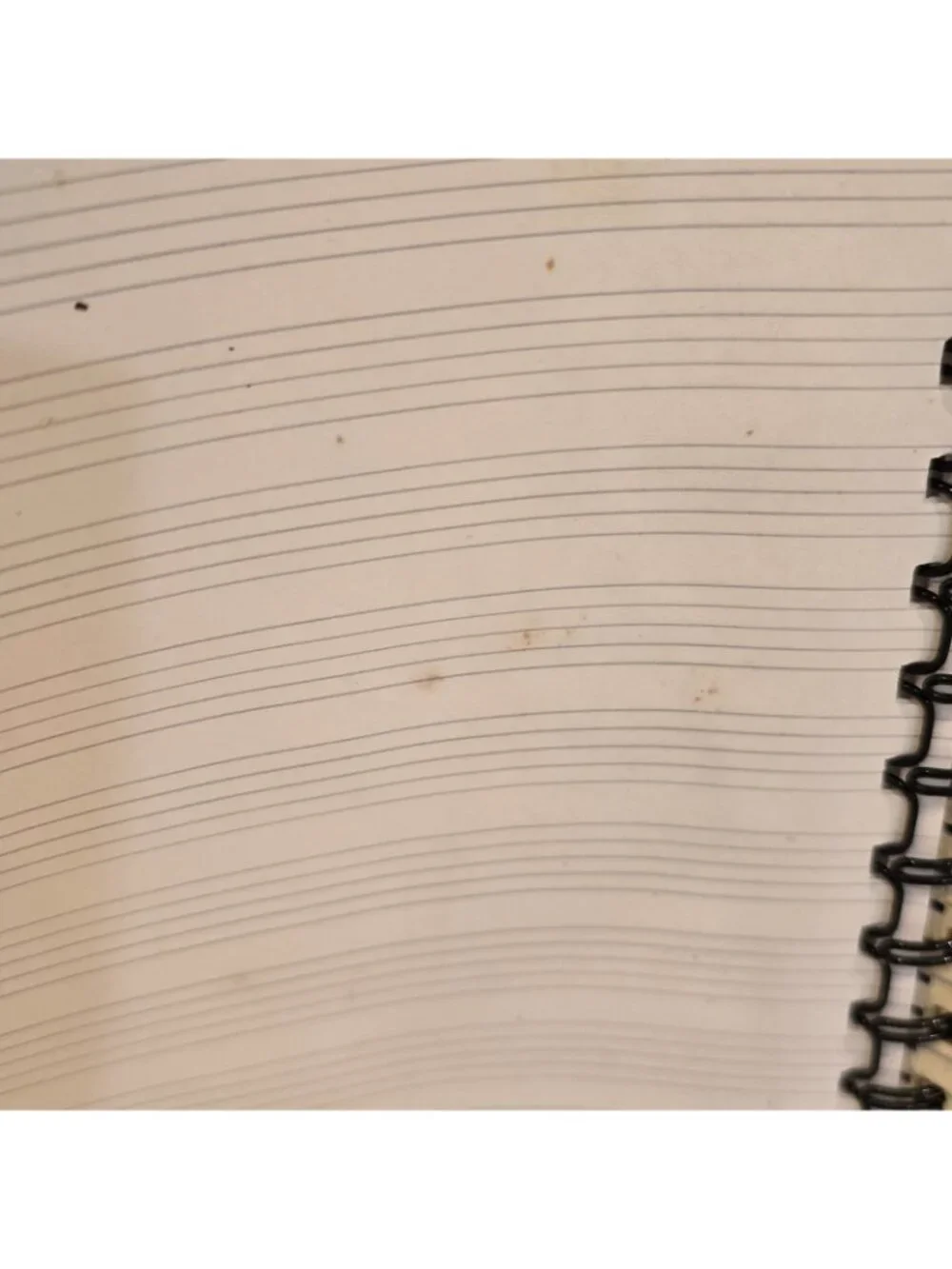 Psalm Journal Different Scripture On Every Page By Northwestern Products